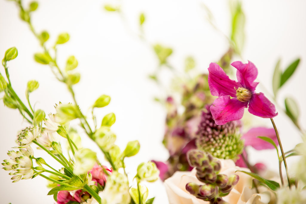 Raspberry Ripple Bouquet -Flower Collection- Luxury delivered – Ollie & Ivy